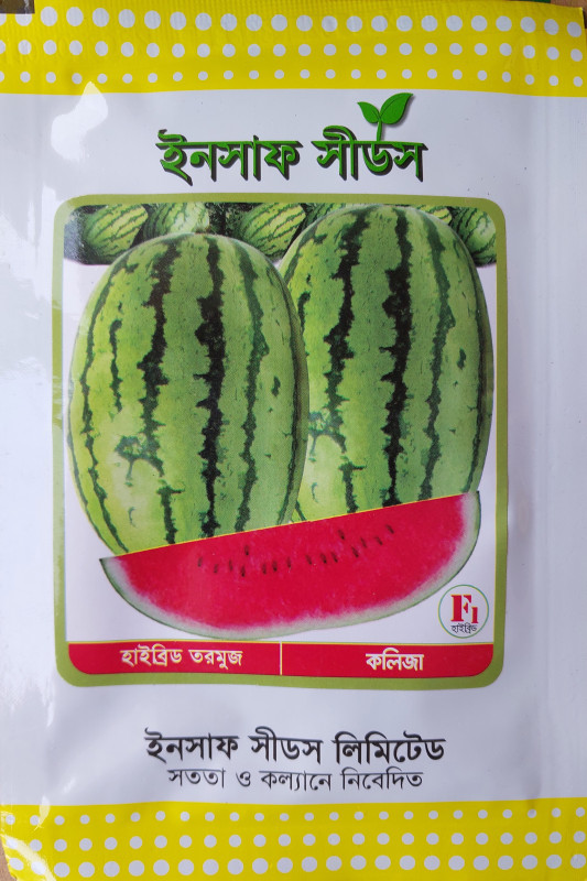 হাইব্রিড তরমুজ বীজ কলিজা