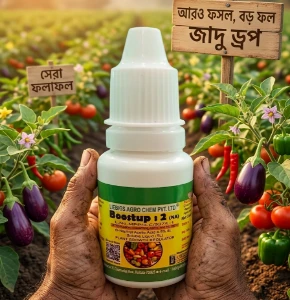 বুস্টাপ২-বেগুন, টমেট, মরিচ সহ সবজি ও ফলের ফুল বৃদ্ধি করে ফলন বাড়ায়-Booster 2