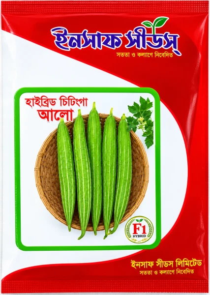 হাই: চিচিঙ্গা আলো