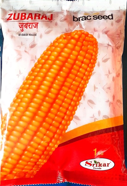 ব্র্যাক হাইব্রিড ভুট্টা যুবরাজ (BRAC Hybrid Maize Zubaraj)