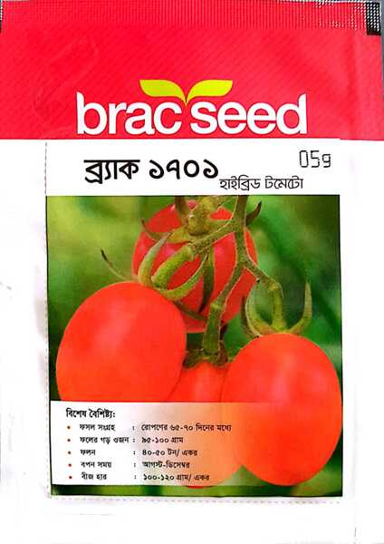 ব্র্যাক সীড টমেটো: ব্র্যাক ১৭০১ (BRAC Seed Tomato: BRAC 1701)