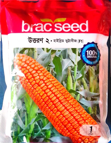 ব্র্যাক হাইব্রিড ভুট্টা উত্তরণ-২ (BRAC Hybrid Maize Uttran-2)