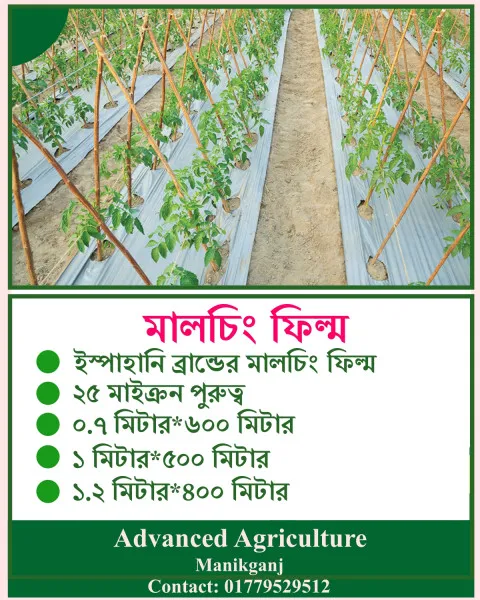 ইস্পাহানি মালচিং ফিল্ম