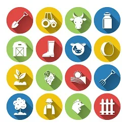 পোল্ট্রি/পশুপালন/ফিস উপকরণ