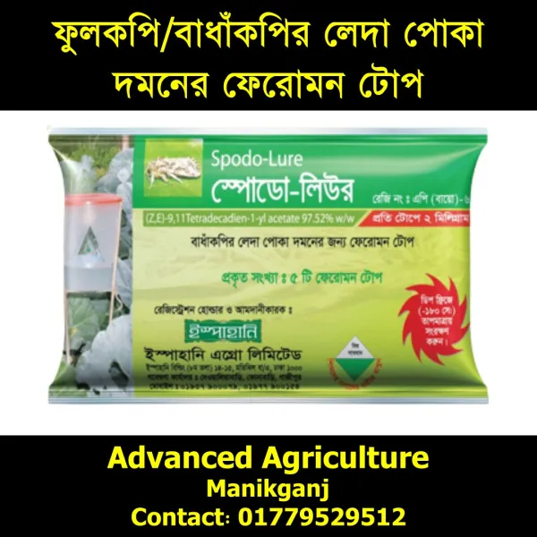 স্পোডো-লিউর  লেদা / ফল ছিদ্রকারী / আাঁচা পোকার ফেরোমন পোকা দমনের ফেরোমন টোপ