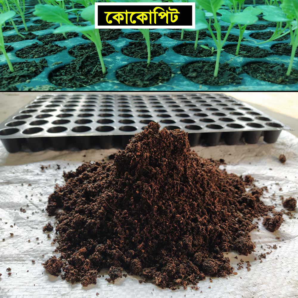 100% Ready Cocopeat - All Nutrient Included & Instant Usable