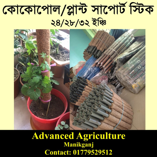 কোকোপোল/কোকো স্টিক/Grow Stick