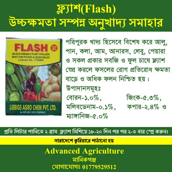 ফ্ল্যাশ(Flash)-উচ্চক্ষমতা সম্পন্ন অনুখাদ্য সমাহার