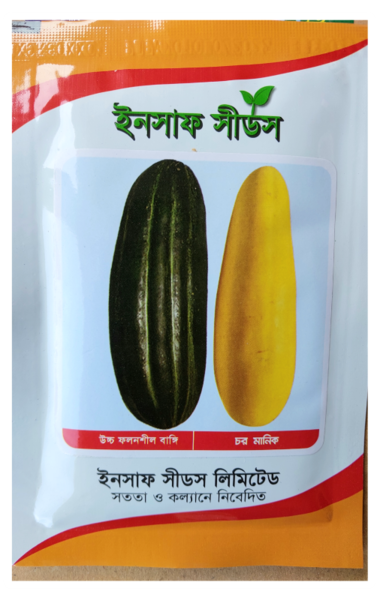 চরমানিক বাঙ্গি