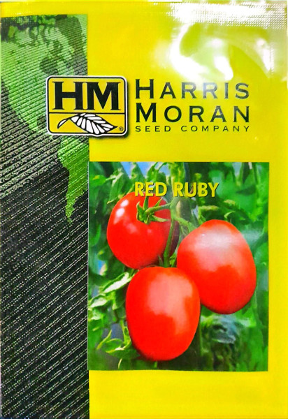 রেড রুবি  হাইব্রিড টমেটো (Red Ruby Hybrid Tomato)