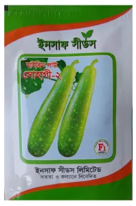 হাইঃ লাউ সোহাগী-২