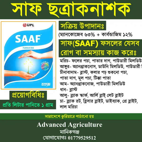 সাফ ছত্রাকনাশক (ম্যানকোজেব ৬৩% + কার্বন্ডাজিম ১২% ডব্লিউ পি)