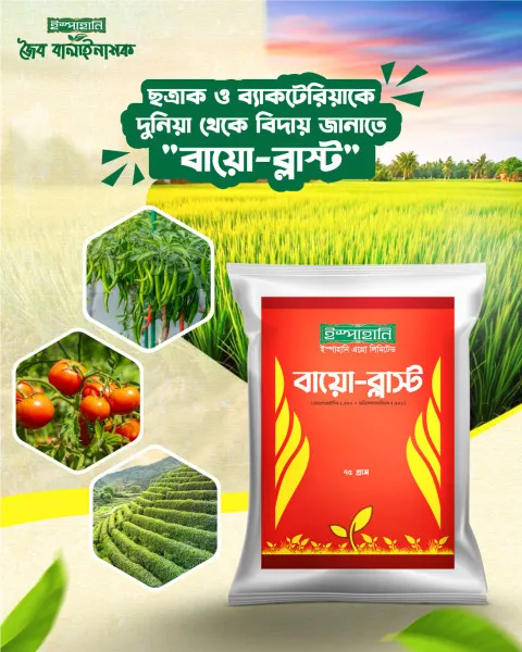 বায়োব্লাস্ট-ছত্রাক ও ব্যাকটেরিয়া দমনের অব্যার্থ জৈব বালাইনাশক