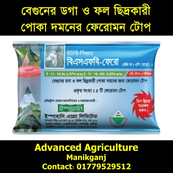 বিএসএফবি-ফেরো বেগুনের ডগা ও ফল ছিদ্রকারী পোকা দমনের ফেরোমন টোপ