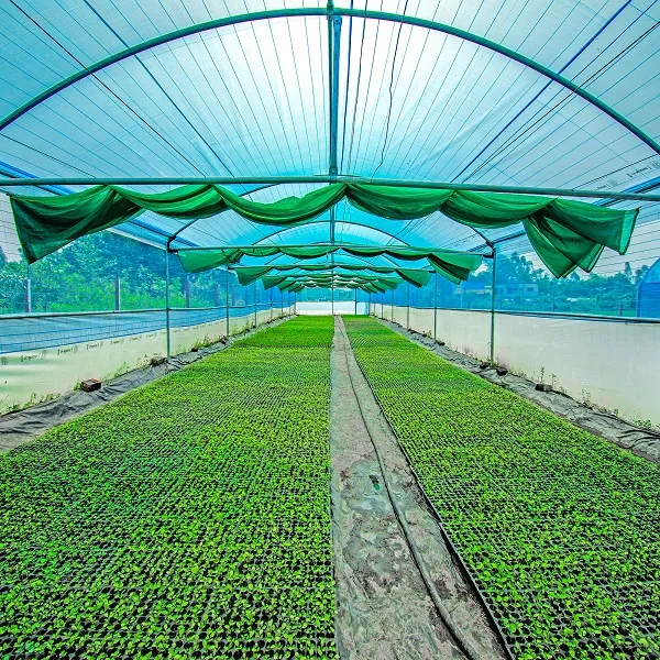 ৫০%  গ্রীন এগ্রো শেডনেট-Agro Shade Net-Advanced Agriculture