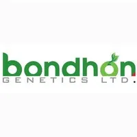 বন্ধন সীডস