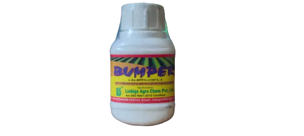 Bumper(বাম্পার)