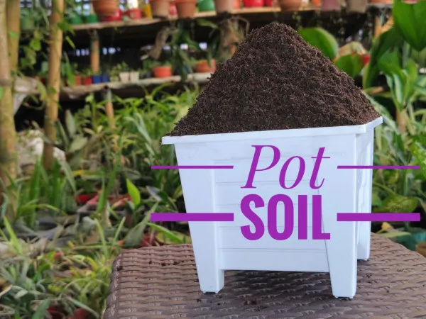 Pot Soil ( পট সয়েল ) ১ কেজি প্যাক
