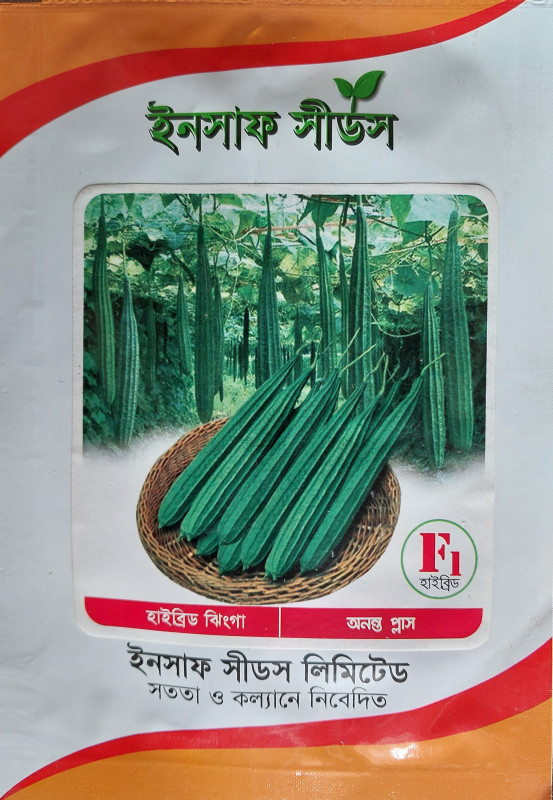 হাইব্রিড ঝিঙ্গা বীজ অনন্ত প্লাস